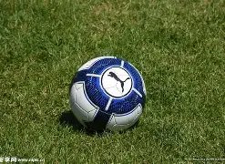 申花球迷欢,米内罗再创,佳绩,皇冠体育,皇冠体育官网,皇冠体育H5官网